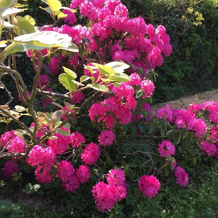 Bed and Breakfast Le Clos Tilia Clery-Saint-Andre Экстерьер фото