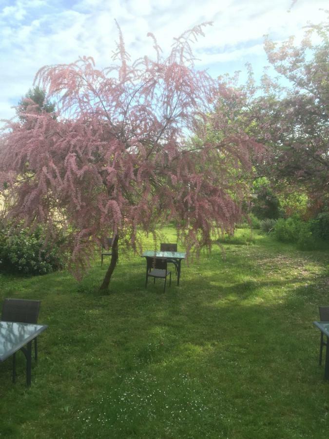 Bed and Breakfast Le Clos Tilia Clery-Saint-Andre Экстерьер фото