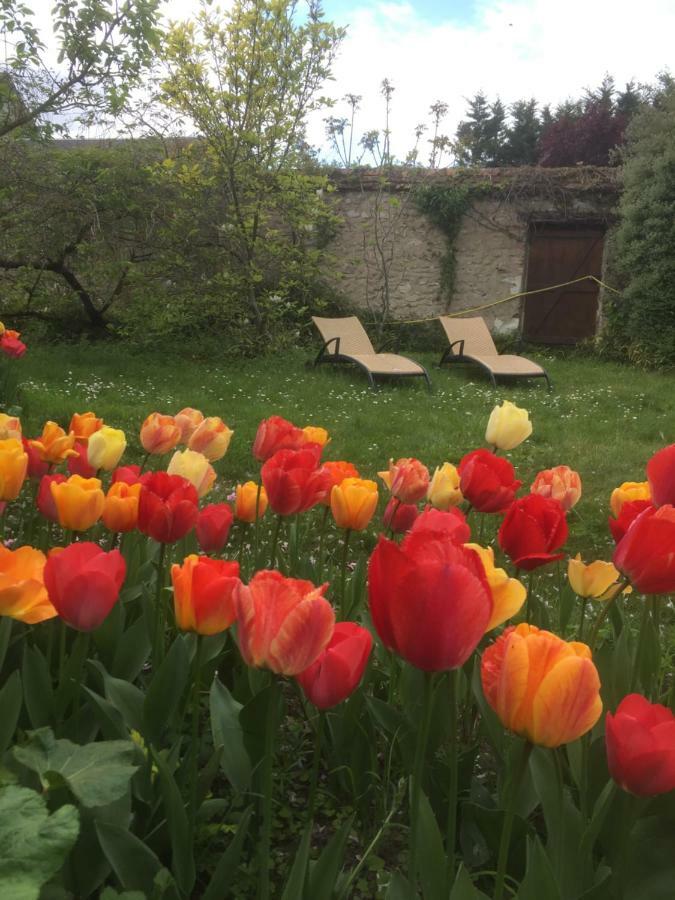 Bed and Breakfast Le Clos Tilia Clery-Saint-Andre Экстерьер фото